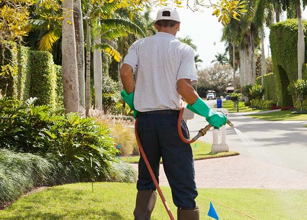 About Swengel PA Pest Control
